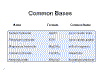 wpeF.gif (5762 bytes)