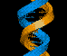 DNA Structure